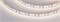 Лента RT 2-5000 12V Day4000 2x (2835, 600 LED, PRO) (arlight, 14.4 Вт/м, IP20) 024339(1) - фото 60455