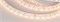 Лента RT 2-5000 24V Warm3000 2x (5060, 300 LED, CRI98) (arlight, 14.4 Вт/м, IP20) 021421(B)-1 - фото 60609