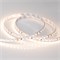 Лента RT 2-5000 24V Warm2700 2x (3528, 600 LED, CRI98) (arlight, 9.6 Вт/м, IP20) 021417(B) - фото 62165