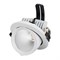 Светильник LTD-EXPLORER-R130-20W Day4000 (WH, 38 deg) (Arlight, IP20 Металл, 3 года) 024030 - фото 64765
