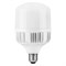 Лампа светодиодная LED 60вт Е27/Е40 белый 25821-1 - фото 65512