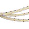 Лента RT 2-5000 24V Day4000 10mm (2835, 252 LED/m, LUX) (arlight, 10 Вт/м, IP20) 022651(1) - фото 67795