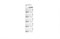 Батарейки ROBITON STANDARD R-27A-0-BL5 27A (0% Hg) BL5 14082Б - фото 69146
