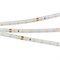Лента RTW 2-5000SE 24V Warm (3528, 300 LED, LUX) (arlight, 4.8 Вт/м, IP65) 021556(1) - фото 70119