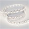 Лента MICROLED-5000 24V Day5000 8mm (2216, 300 LED/m, LUX) (arlight, 8 Вт/м, IP20) 023173 - фото 70423