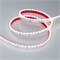 Лента RSW 2-5000P 24V Cool 10K 2x (3014, 120 LED/m, LUX) (arlight, 9.6 Вт/м, IP66) 027043 - фото 72005