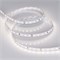 Лента RT 2-5000 24V 1.6X Day White (2835, 490 LED, CRI98) Arlight 021452(2) - фото 73863