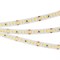 Лента RT 2-5000 24V Day4000 3x (2835, 840 LED, CRI98) (arlight, 17 Вт/м, IP20) 025147(1)-1 - фото 74418