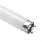 Лампа Gleecon   LT8 10W BL  L=330мм  BL  Ультрафиолет (в ловушки для насекомых) -    (604576) 2000000908021 - фото 75384