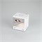 Светильник CL-SIMPLE-S80x80-9W Day4000 (BK, 45 deg) (Arlight, IP20 Металл, 3 года) 026875 - фото 75490