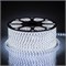 Лента светодиодная 220V FERON LS704, 60*SMD2835, 4,4W/m, IP65, 6400К (дневной), в комплекте 2 сетевы 26243 - фото 76098