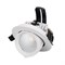 Светильник LTD-EXPLORER-R100-12W Day4000 (WH, 38 deg) (Arlight, IP20 Металл, 3 года) 024027 - фото 80101