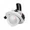 Светильник LTD-EXPLORER-R100-12W Day4000 (WH, 38 deg) (Arlight, IP20 Металл, 3 года) 024027 - фото 80102