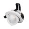 Светильник LTD-EXPLORER-R100-12W Day4000 (WH, 38 deg) (Arlight, IP20 Металл, 3 года) 024027 - фото 80108