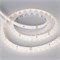 Светодиодная лента герметичная RTW-SE-A98-8mm 24V Day4000 (10 W/m, IP65, 2835, 5m) (Arlight, -) 021876(2) - фото 81719