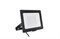 LED BVP150 LED85/CW   100W 220-240V NW 8500lm 6500K 290x226x43 black - прожектор PHILIPS(ДО-70Вт) 911401732492 - фото 82524