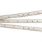 Светодиодная лента герметичная RTW-PS-B60-12mm 24V Day4000 (14.4 W/m, IP67, 5060, 5m) 021398(2) - фото 82636