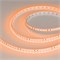 Светодиодная лента RT-A120-8mm 24V Orange (9.6 W/m, IP20, 2835, 5m) (Arlight, -) 015896(2) - фото 83305