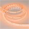 Светодиодная лента RT-A120-8mm 24V Orange (9.6 W/m, IP20, 2835, 5m) (Arlight, -) 015896(2) - фото 83308