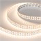 Светодиодная лента RT-A240-15mm 24V Warm3000 CRI98 (19.2 W/m, IP20, 2835, 5m) (Arlight, Открытый) 028634(2) - фото 83429