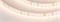 Светодиодная лента RT-A120-8mm 24V Warm3000 (14.4 W/m, IP20, 2835, 5m) (Arlight, Открытый) 020393(2) - фото 83451