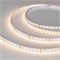 Светодиодная лента NT-A120-8mm 24V Warm3000 (9.6 W/m, IP20, 3528, 5m) (Arlight, Открытый) 033522 - фото 83749
