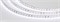 Светодиодная лента RT 2-5000-50m 24V White6000 2x (3528, 120 LED/m, LUX) (arlight, 9.6 Вт/м, IP20) 024568(1) - фото 84824
