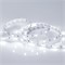 Светодиодная лента RT 2-5000 12V White6000 (5060, 150 LED, LUX) (Arlight, 7.2 Вт/м, IP20) 010595(B) - фото 87578