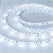 Светодиодная лента RT 2-5000 12V White6000 (5060, 150 LED, LUX) (Arlight, 7.2 Вт/м, IP20) 010595(B) - фото 87579