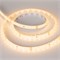 Светодиодная лента герметичная RTW-SE-A98-8mm 24V Warm3000 (10 W/m, IP65, 2835, 5m) (Arlight, -) 021877(2) - фото 87615