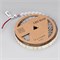 Светодиодная лента RT-B144-19mm 24V White6000 (34.4 W/m, IP20, 5060, 5m) (Arlight, Открытый) 025277(2) - фото 87628