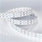Светодиодная лента RT-B144-19mm 24V White6000 (34.4 W/m, IP20, 5060, 5m) (Arlight, Открытый) 025277(2) - фото 87630