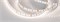 Светодиодная лента MICROLED-M120-8mm 24V Day5000 (14 W/m, IP20, 2216, 5m) (Arlight, Открытый) 024428(2) - фото 87707