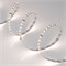 Светодиодная лента MICROLED-M120-8mm 24V Day5000 (14 W/m, IP20, 2216, 5m) (Arlight, Открытый) 024428(2) - фото 87710