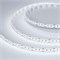 Лента MICROLED-5000 24V White6000 8mm (2216, 300 LED/m, LUX) (Arlight, 8 Вт/м, IP20) 023556 - фото 89454