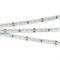 Лента RS 2-5000 24V Cool 10K 2x (3014, 120 LED/m, LUX) (Arlight, 9.6 Вт/м, IP20) 024456 - фото 89528