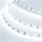 Лента RT 2-5000 12V Cool 8K (2835, 300 LED, PRO) (Arlight, 7.2 Вт/м, IP20) 016889(1) - фото 89569