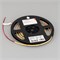 Лента COB-X480-6mm 24V Warm3500 (6 W/m, IP20, CSP, 5m) (Arlight, -) 044576 - фото 89874