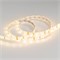 Лента RTW 2-5000SE 12V Warm (3528, 300 LED, LUX) (Arlight, 4.8 Вт/м, IP65) 014795 - фото 90079