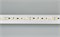 Лента RT-10000 24V Warm2700 2x (3528, 120 LED/m, 10m) (Arlight, 9.6 Вт/м, IP20) 025008 - фото 90130