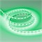 Лента RT-B60-10mm 12V Green (14.4 W/m, IP20, 5060, 5m) (Arlight, 14.4 Вт/м, IP20) 012337(2) - фото 90456