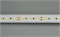 Лента IC2-A120-12mm 24V White6000 (9.6W/m, IP20, 2835, 20m) (Arlight, 9.6 Вт/м, IP20) 024589(1) - фото 90484