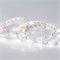 Лента RT 2-5000 12V Day4000 (5060, 150 LED, LUX) (Arlight, 7.2 Вт/м, IP20) 011570 - фото 90690