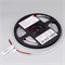Лента COB-X544-8mm 24V Blue (11.5 W/m, IP20, CSP, 5m) (Arlight, -) 032175(2) - фото 90871