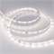Светодиодная лента RT-A60-8mm 24V Day4000 (4.8 W/m, IP20, 2835, 5m) (Arlight, Открытый) 016144(2) - фото 90945