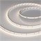 Светодиодная лента RT-A160-8mm 24V Day4000 (12 W/m, IP20, 2835, 5m) (Arlight, высок.эфф.150 лм/Вт) 024537(2) - фото 91004