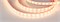 Лента RTW 2-5000PGS 12V Warm 2x (5060, 300 LED, LUX) (Arlight, 14.4 Вт/м, IP67) 013587-1 - фото 91103