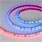 Лента герметичная DMX-PS-B60-12mm 12V RGB-PX3 (14 W/m, IP67, 5060, 5m) (Arlight, -) 039605 - фото 91122