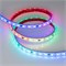 Лента герметичная DMX-PS-B60-12mm 12V RGB-PX3 (14 W/m, IP67, 5060, 5m) (Arlight, -) 039605 - фото 91125