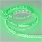 Лента RT-A120-8mm 24V Green(9.6 W/m, IP20, 2835, 5m) (Arlight, Открытый) 008782(2) - фото 91226